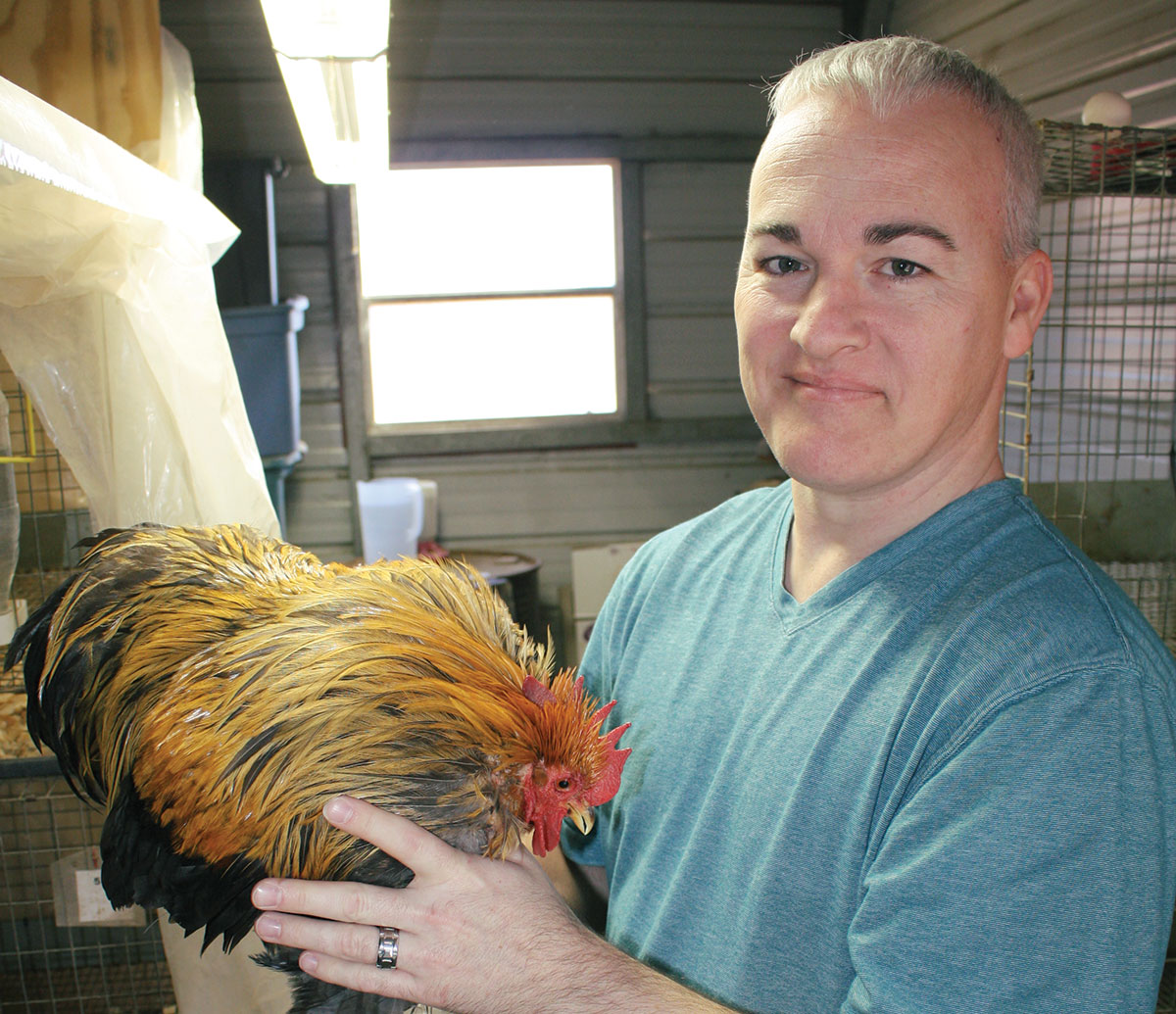 Concentrating on Cochins - Ozarks Farm & Neighbor Newspaper - written for,  by & about farmers