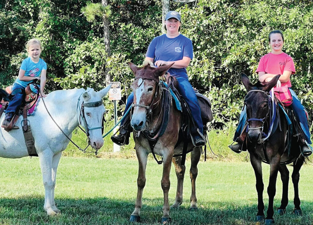 Chrystal Willis and her family operate a small farm and have a passion for mules. Contributed Photo. 