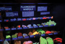 Joplin History and Mineral Museum