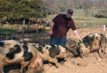 Faith, Family, Farm and Spots