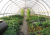 A Horticulture Paradise