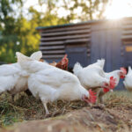 Education is Important