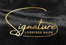 Signature Livestock Sales