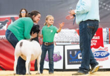 Shepherding Faith, Family and Genetics