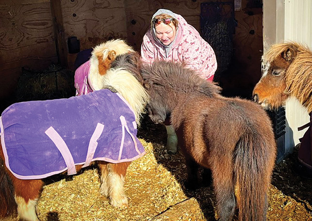 A 'Little' Horse Therapy - Ozarks Farm & Neighbor Newspaper