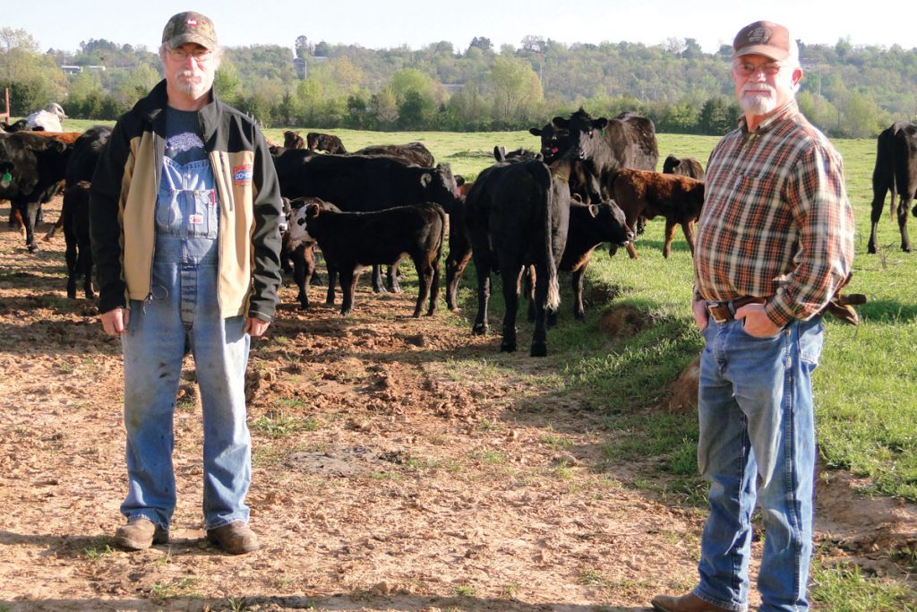 The Perfect Environment for Cattle - Ozarks Farm & Neighbor Newspaper ...