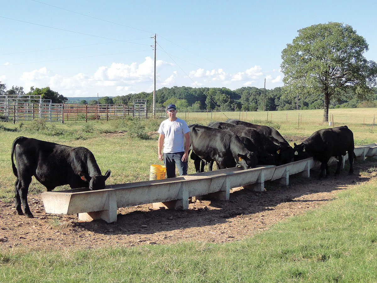 Feeding The Local Beef Economy - Ozarks Farm & Neighbor Newspaper - written  for, by & about farmers