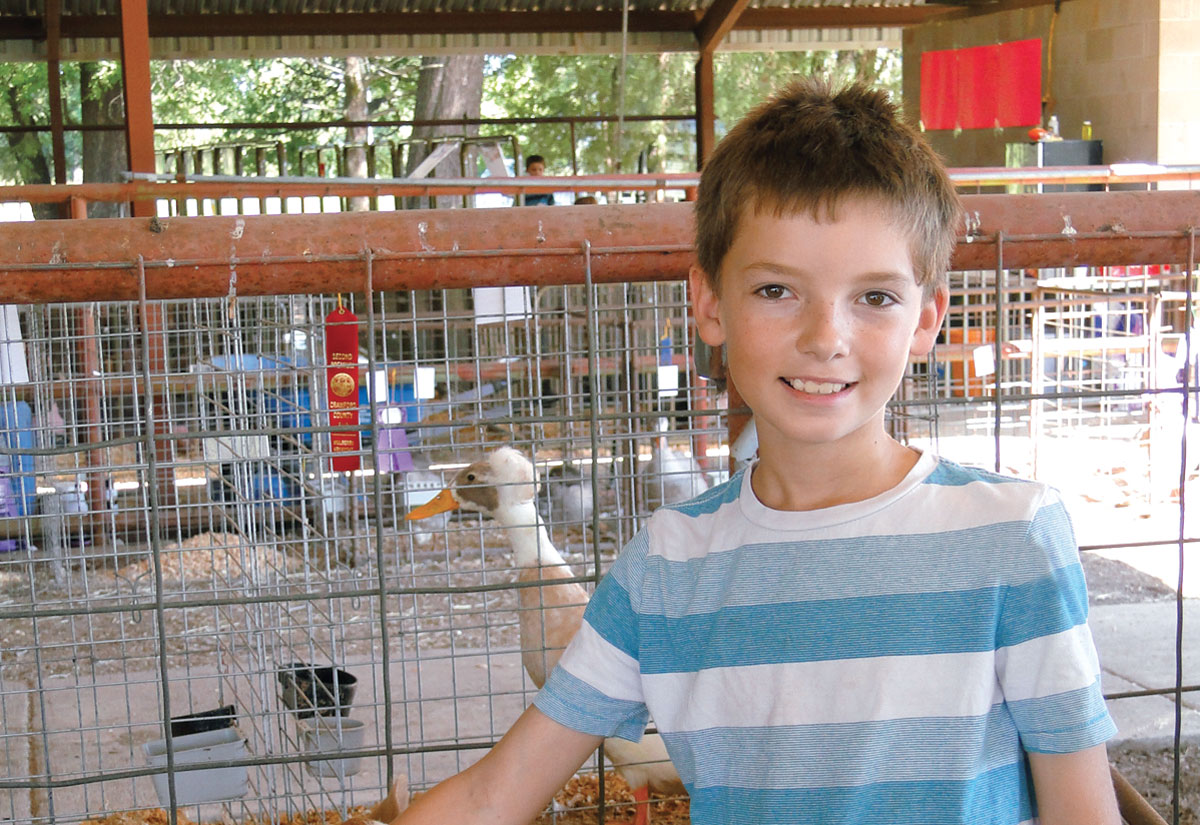 Dakota williams ozarks farm neighbor newspaper written for by