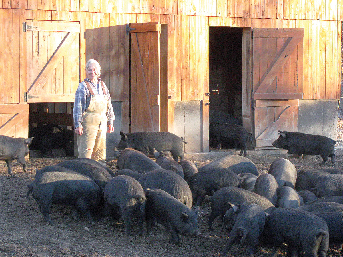 Staying Busy on the Farm