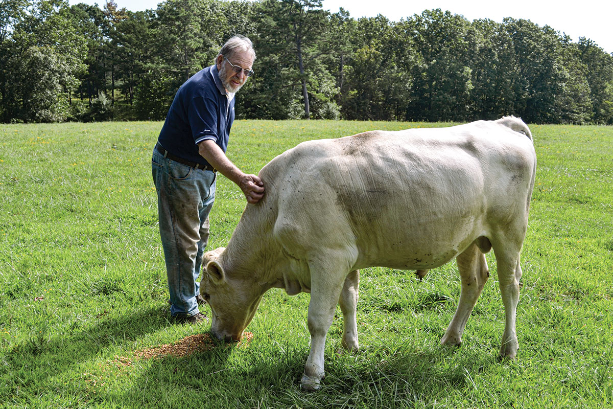 A Different Path for the Maanums