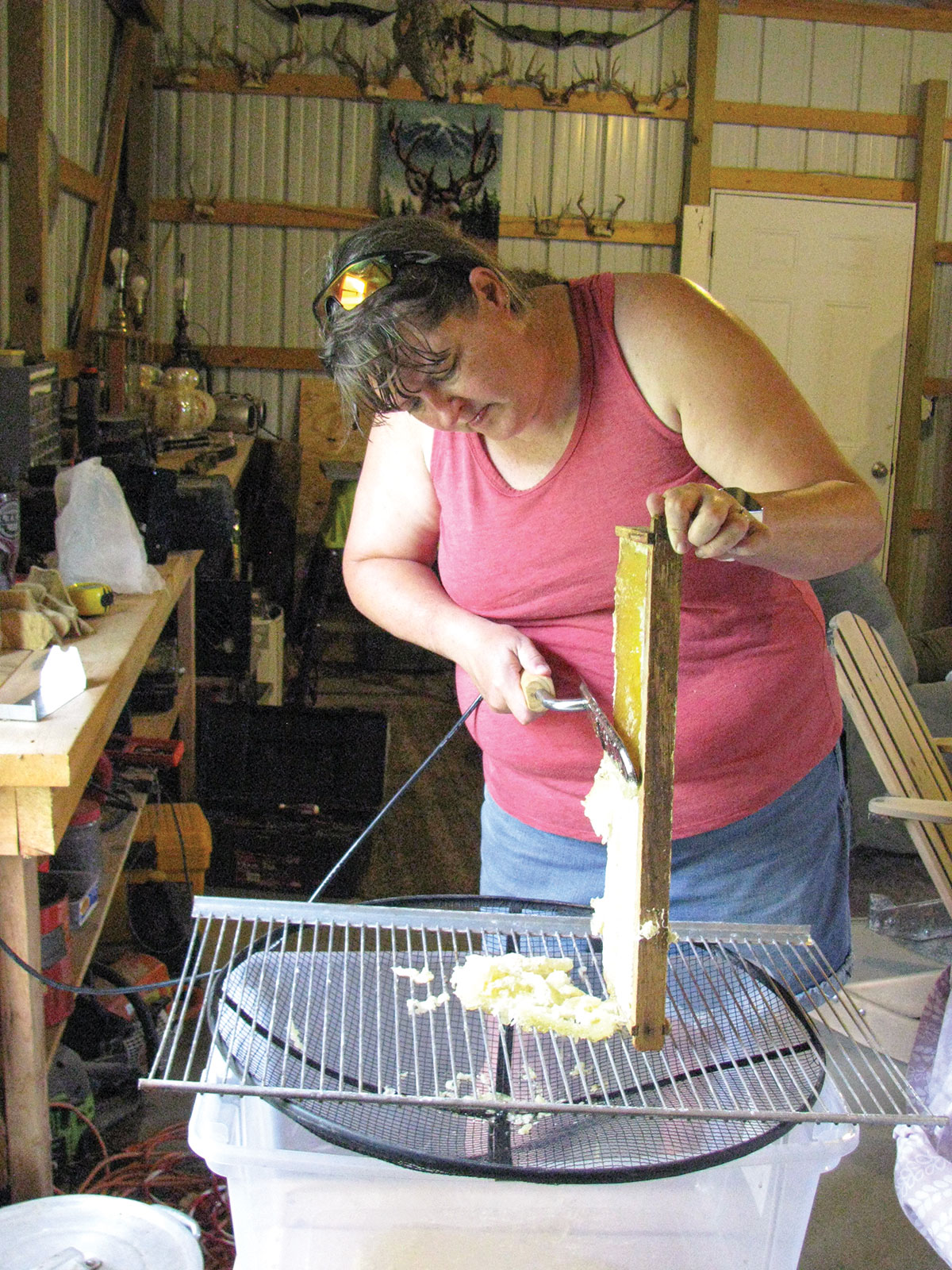 Michelle Brinkley Ozarks Farm & Neighbor Newspaper written for, by