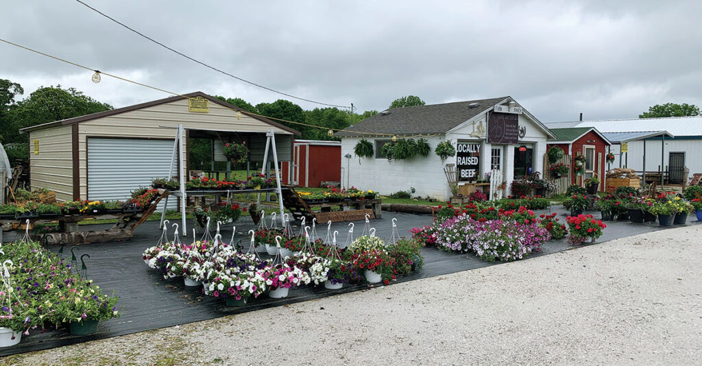 K&D Cattle Company Store in Joplin, Missouri. Owned by Dan Thornburg. Photo by Rachel Harper.