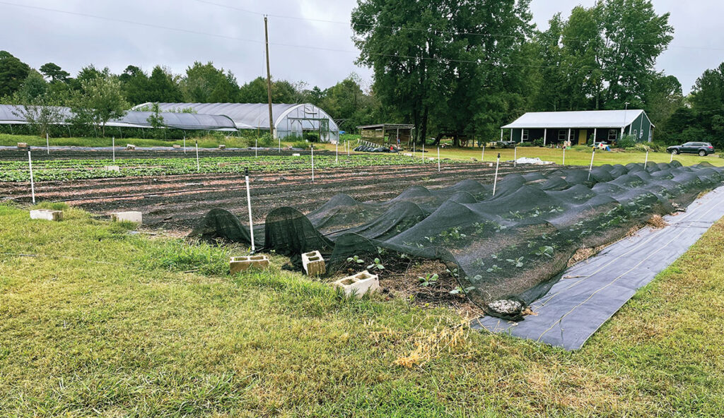 Five Acre Farms in Red Bud, Arkansas. Submitted Photo. 