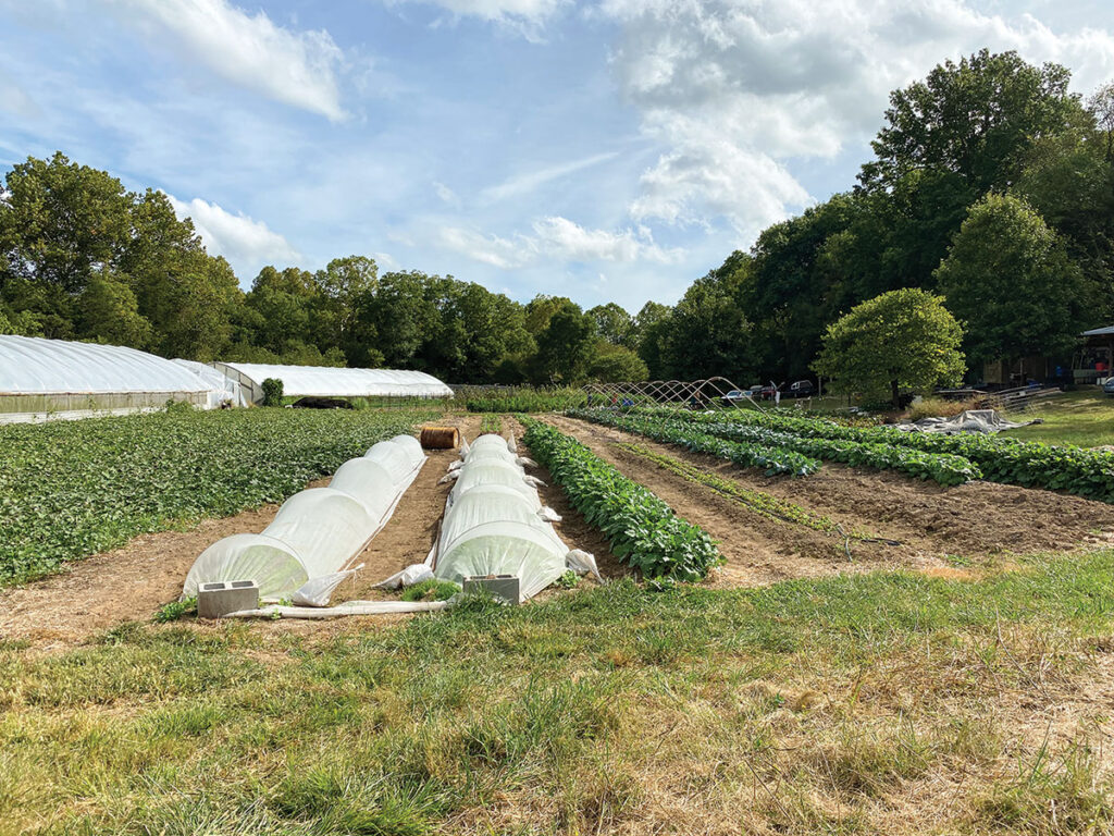 Sycamore Bend Farm is a small operation with a big impact and has had the support from many hands. Petey Wesley, Roxy and Hobie are working to help the farm this year. Photo by Daniel Bereznicki. 