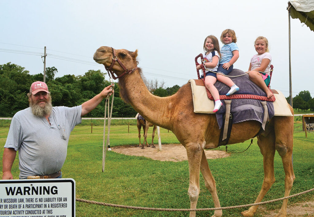 Camel Rides Daily with weather permitting along rural Missouri 65 between Buffalo and Urbana. Photo by Laura L. Valenti.