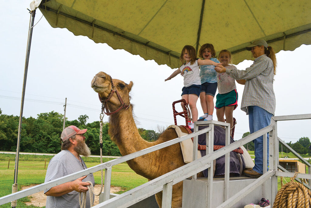 The Malchow family has been raising and training camels for generations. Photo by Laura L. Valenti.