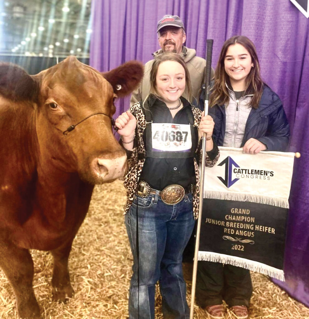 Red Angus Cattle: The Breed Behind Lazy T's High-Quality Beef