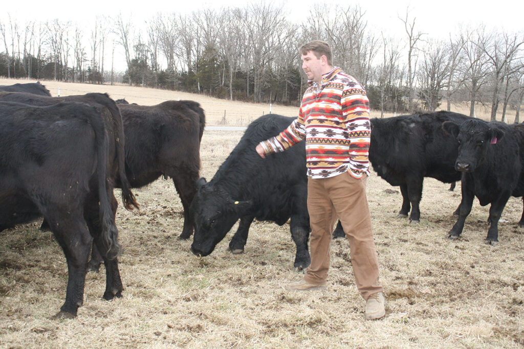 Chase Wilson purchased his first registered cattle in 2017. Photo by Julie Turner-Crawford.