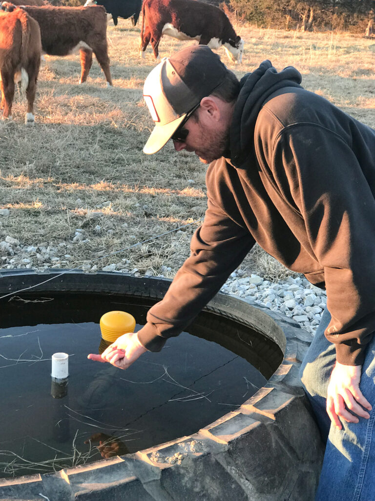 Well water is pumped into a large implement tire containing water, permanently placed halfway between two paddocks, underneath the electric fence, allowing watering from each side. Submitted Photo. 