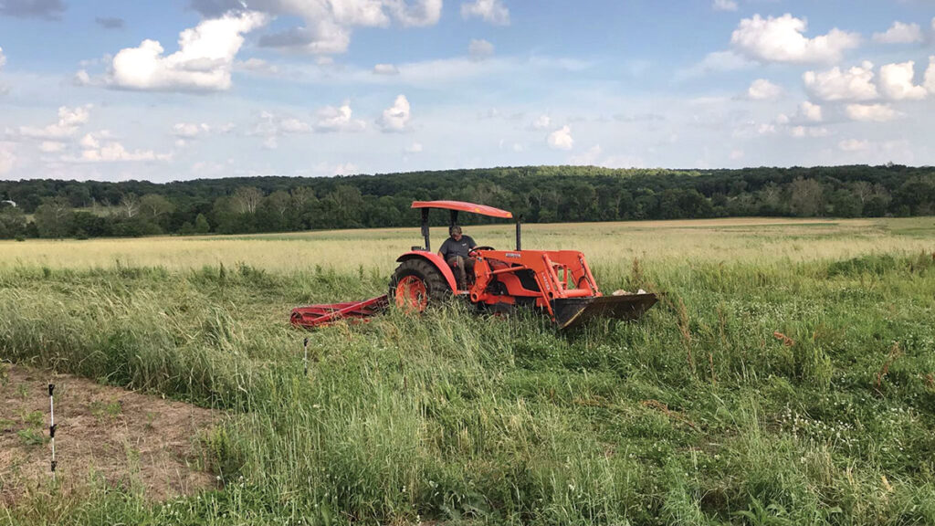 Regenerative farms follows five principles: limit chemical, physical, and biological disturbance; keep the soil covered; add diversity of plants and insects; keep a living root in the soil as long as possible; and integrate animals into the system. Submitted Photo