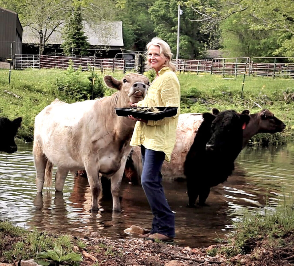 Erin O'Rourke of Bois D' Arc, Missouri standing with one of her Charolais crosses at Recharge Ranch. Photo by Jaynie Kinnie-Hout