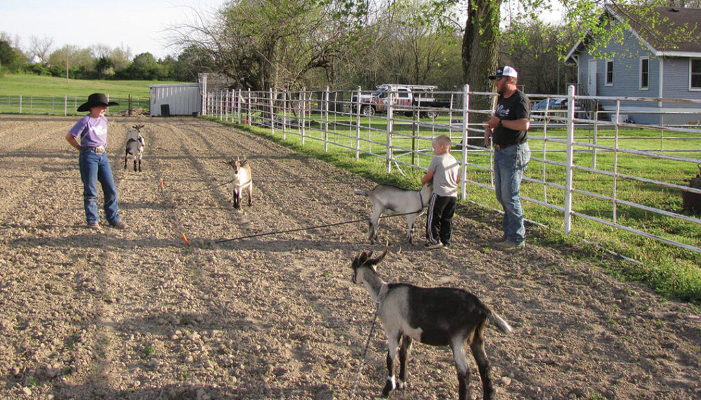 Family getting goats ready for roping at Rafter C Rodeo Goats in Marshfield, Missouri. Photo by Brenda Brinkley. 