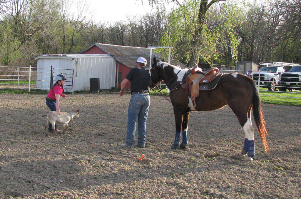 At Rafter C Rodeo Goats in Marshfield, Missouri they have had kids as young as three-years-old try goat roping with assistance by their mother or older brother or sister. Photo by Brenda Brinkley. 