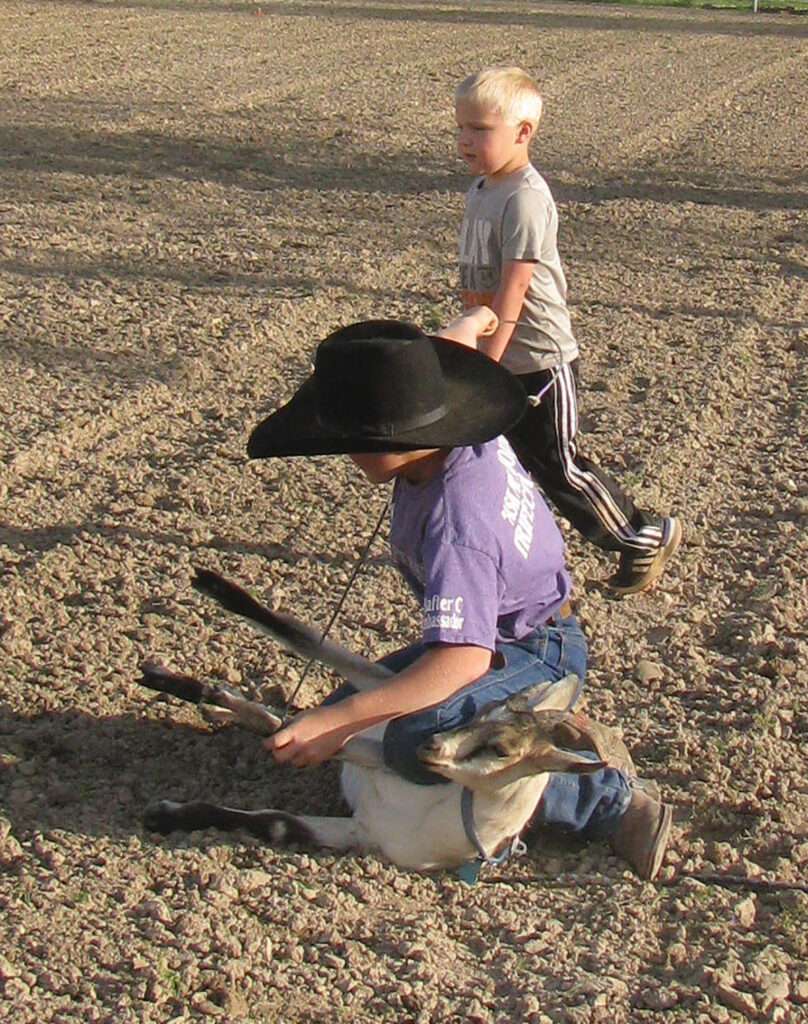 Cassie and Clint Lininger let the kids tie the "freshies" or the new goats and tell them what they think. Photo by Brenda Brinkley. 