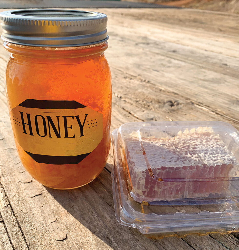 Honey and Honeycomb from the Bobbitt Cunningham Century Farm in Conway, Missouri. Photo by Amanda Bradley.