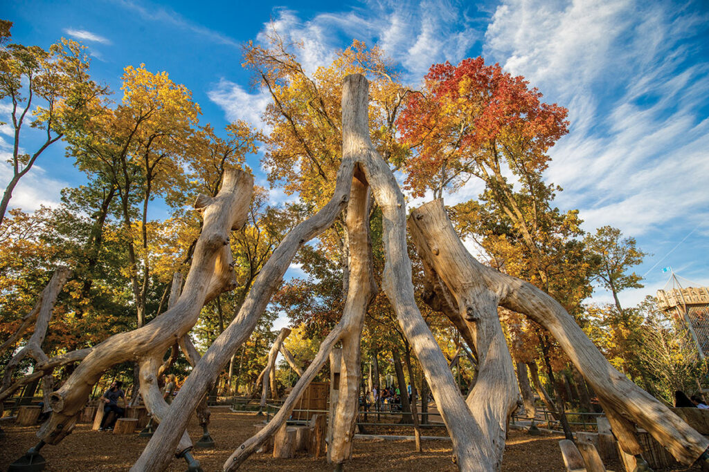 Three hundred trees were preserved during park construction, and 5,800 trees were planted, including 100 different species. Unhealthy trees were recycled into play features, tables and benches in the park. Submitted Photo. 