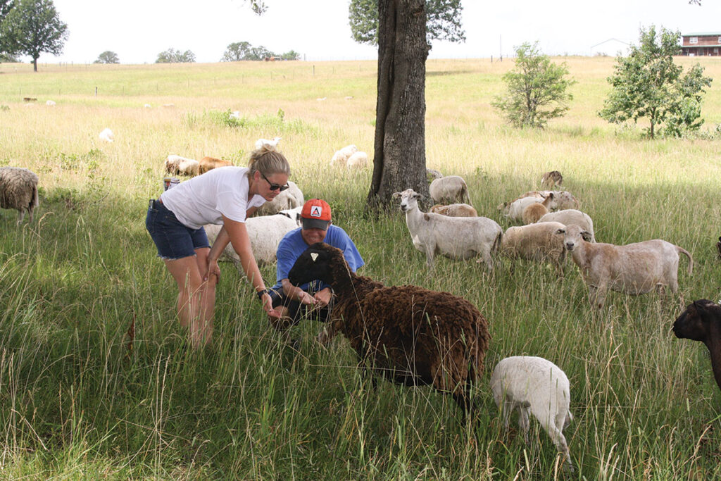 Travis and Chrissy Linden of Roby, Missouri are working to grow and improve at their farm, Freedom Farms. Photo by Julie Turner-Crawford.