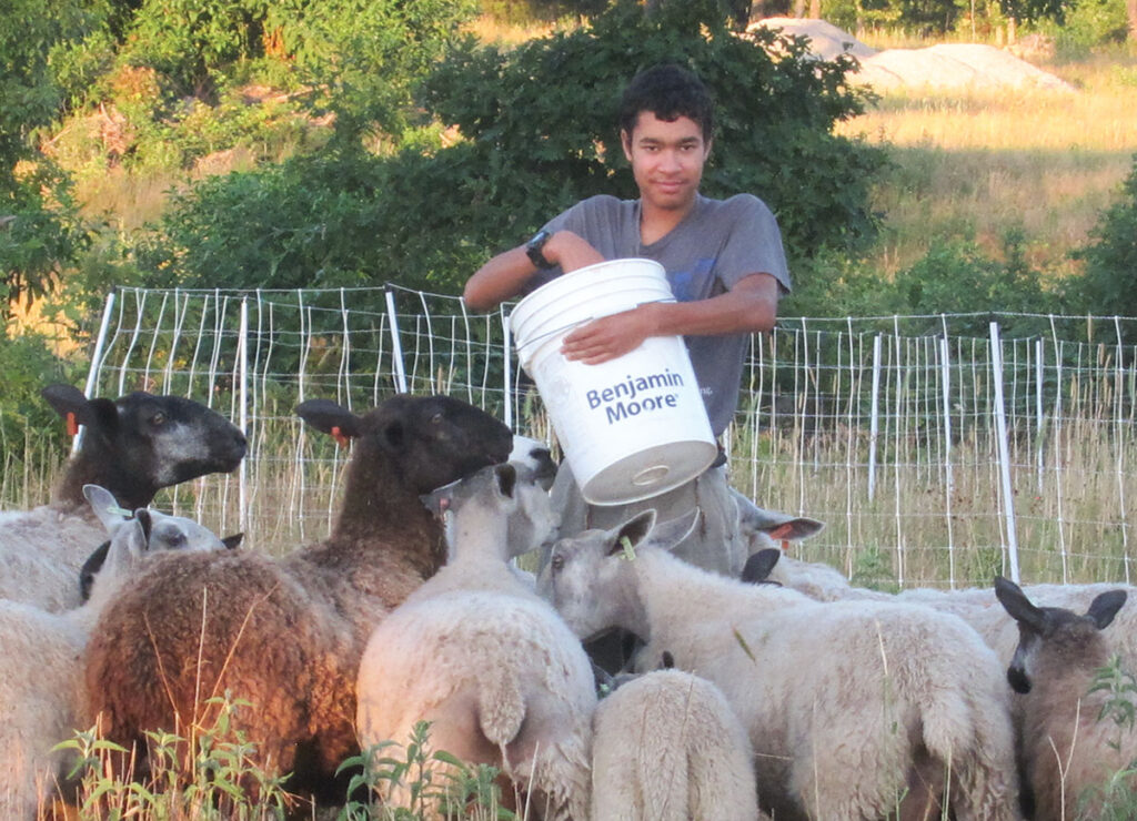Jeremiah Ponds has a growing flock of Blueface Leicester sheep at his 
family’s Wright County, Mo., farm. Submitted Photo.