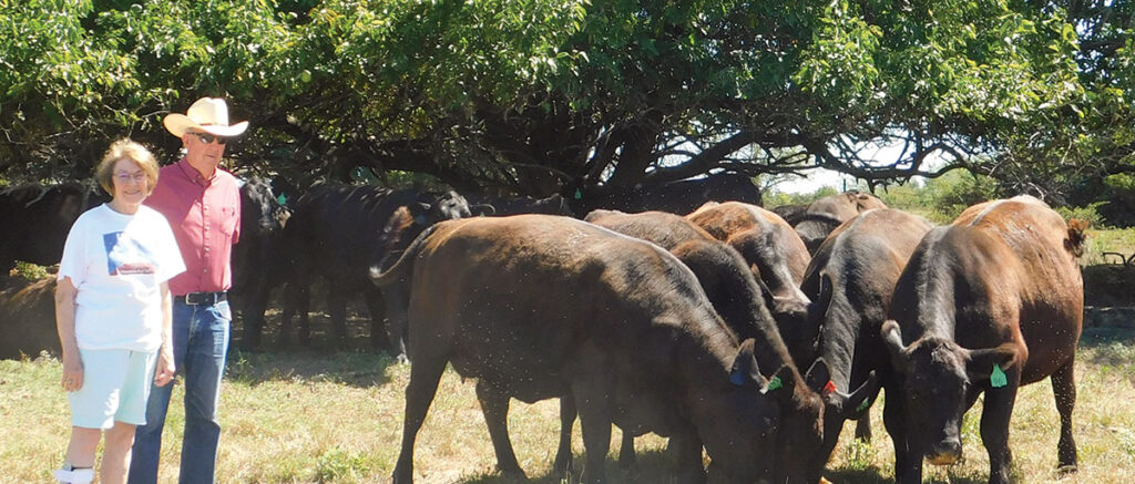 Record keeping is a large part of the Garton Angus Ranch, which is owned by Norman and Vicki Garton. Photo by Neoma Foreman. 