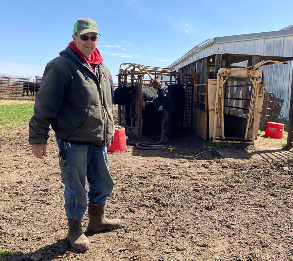 Norman and Vicki Garton working cattle on their farm in Nevada, Missouri. Submitted Photo. 