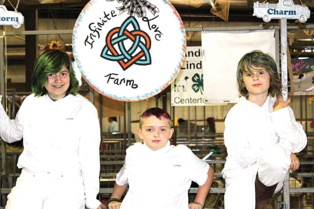Via, Faelan and Declan Powers added dairy goat production to their 4-H projects and are active in shows. Photo by Marissa Snider. 