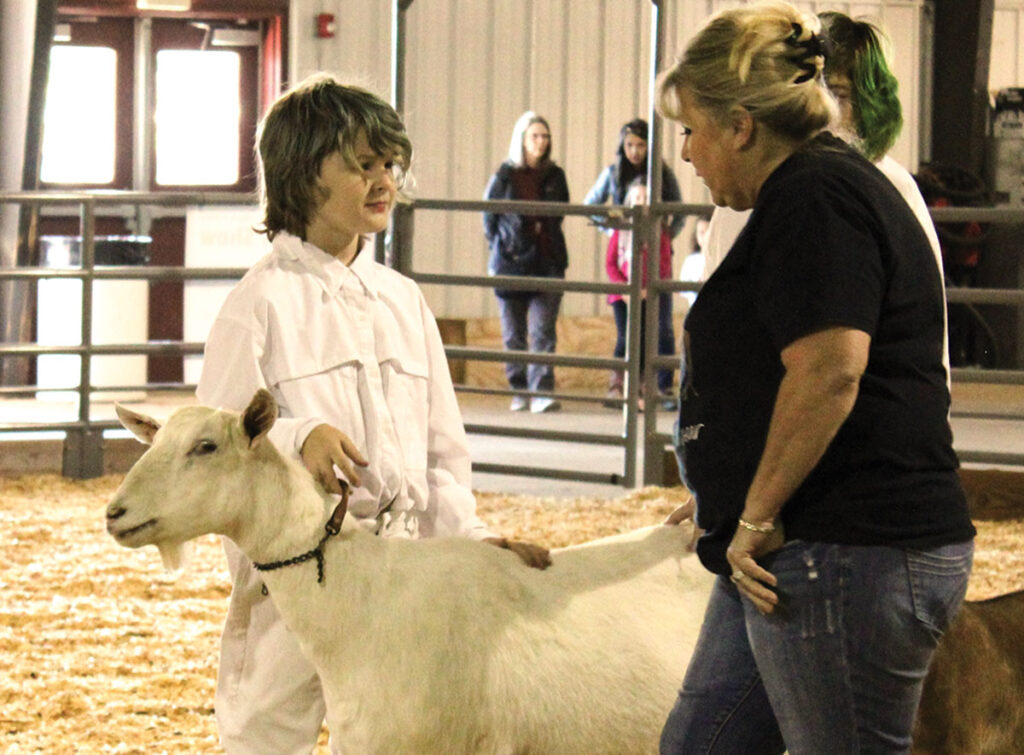 Declan Powers showing his goat. Photo by Marissa Snider. 