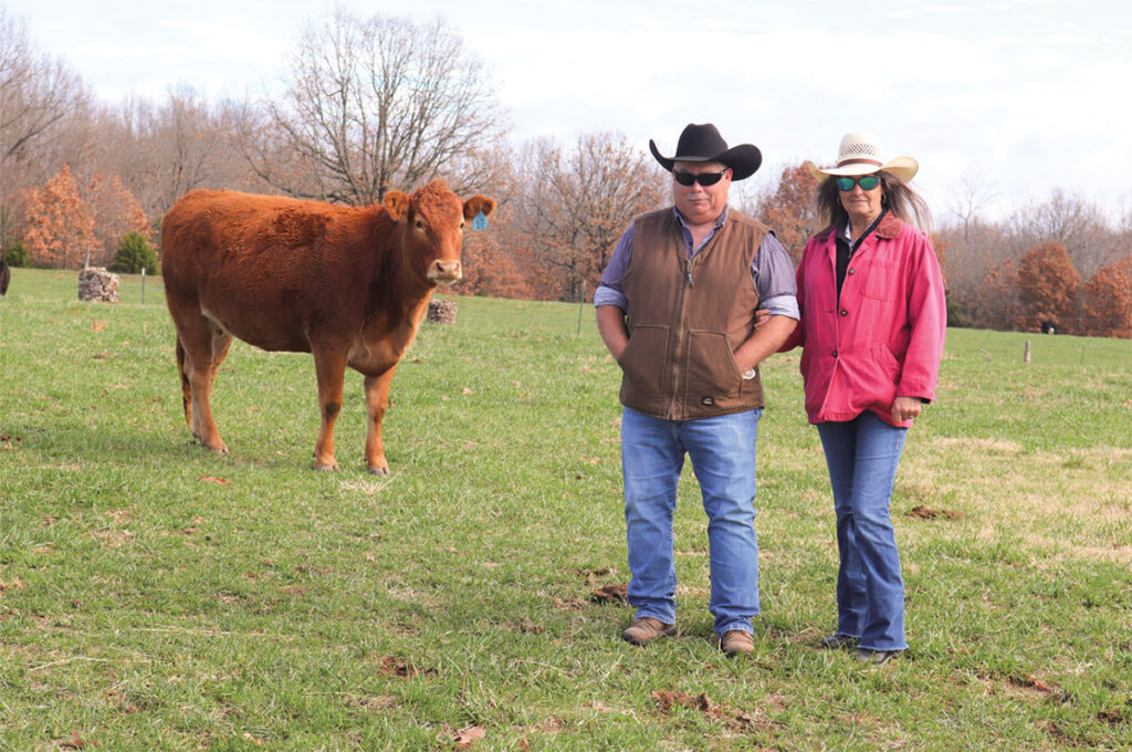 Richard and Linda Sansom are working to change their commercial herd to registered Limousin. Photo by Julie Turner-Crawford. 