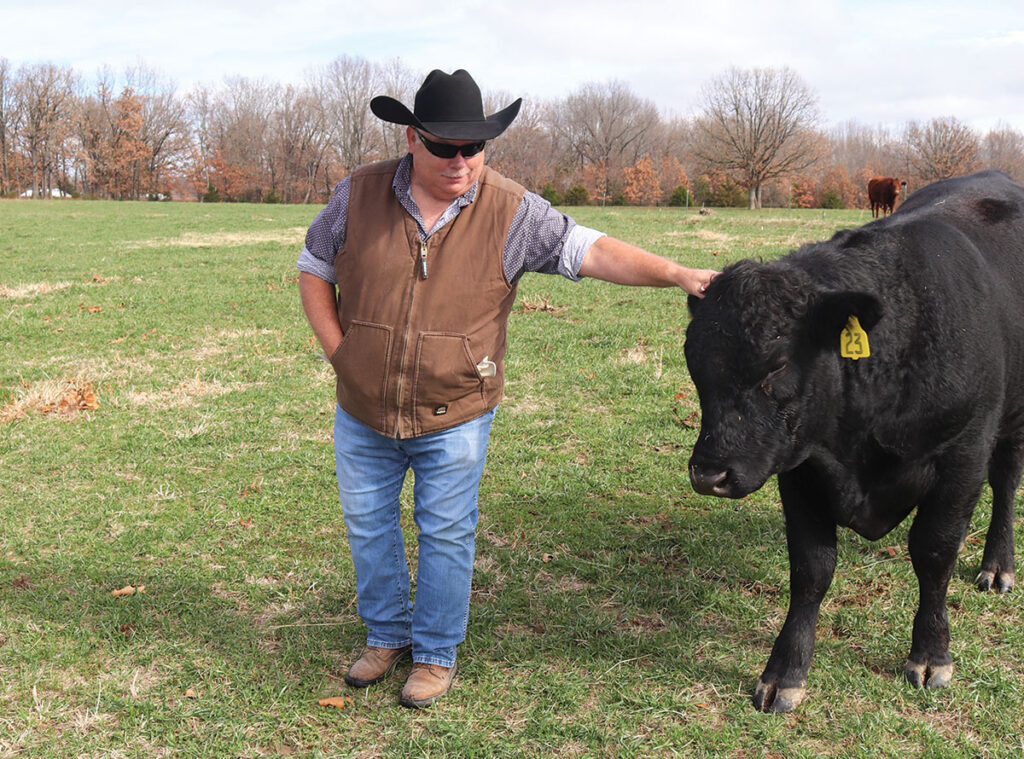 Richard Sansom with his Limousin bull. Photo by Julie Turner-Crawford. 
