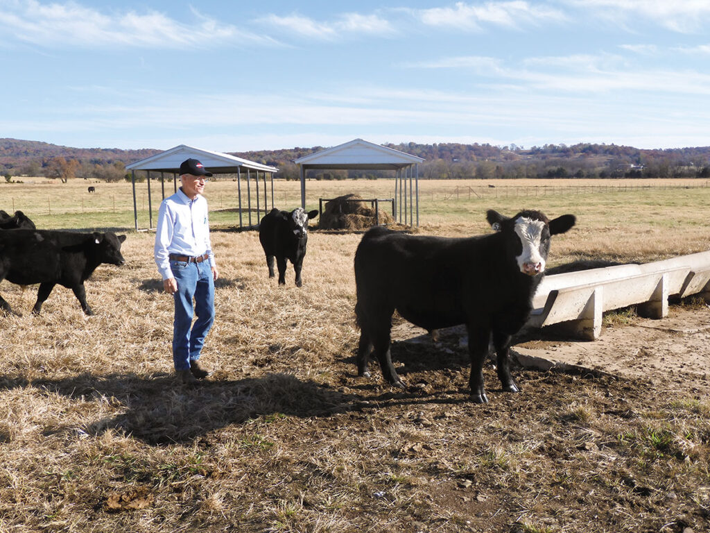 Ron Aman has a heard of SimAngus cattle on the farm his grandparents started in 1918. Photo by Terry Ropp.