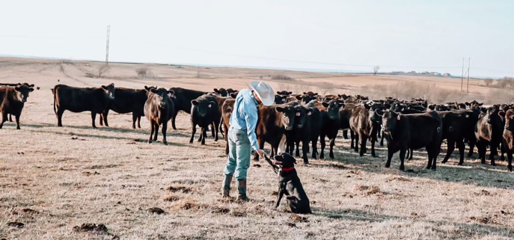 The Tate Ranch has grown to more than 10,000 acres. Submitted Photo. 