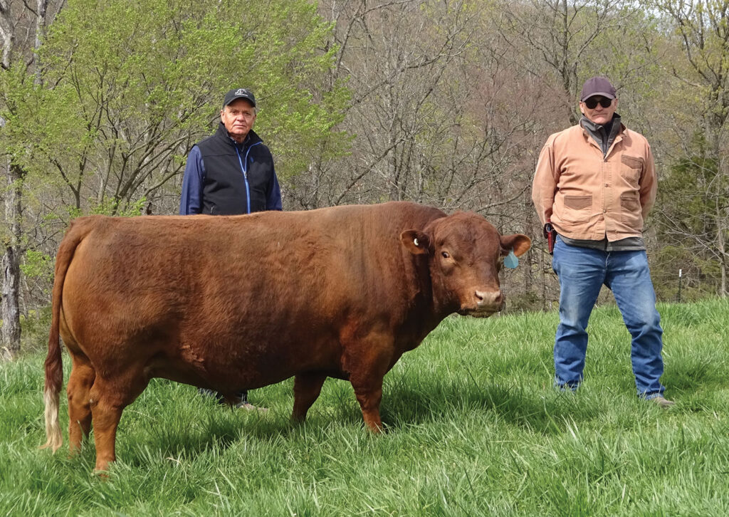 LaRose Dexter Ranch is owned by Al and Carole LaRose, and managed by livestock manager Paul Meyer, left, and general manager Mike Kleier. Photo by Kevin Thomas. 