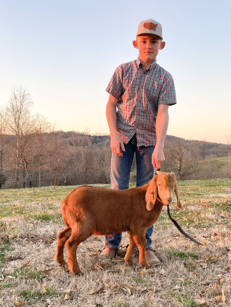 Evan Carlton of Marble, Arkansas enjoys showing steers at the Madison County Fair. He is the son of Scott and Tara Carlton. Submitted Photo. 
