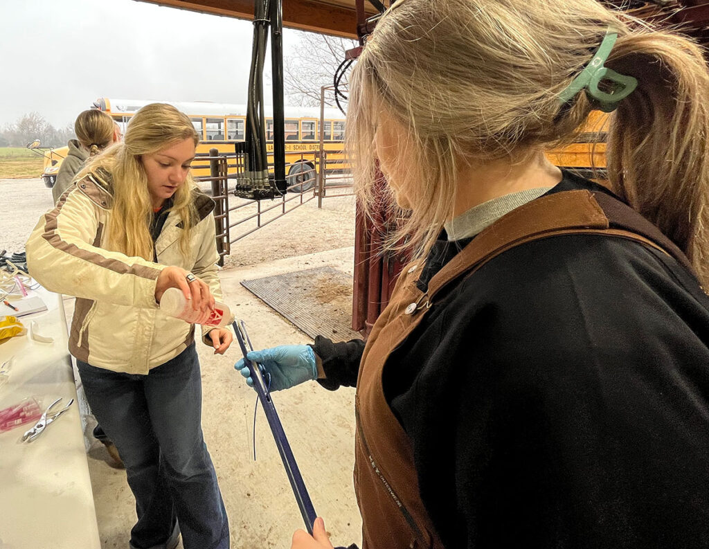 When Tammy Bartholomew began her career in agriculture education, the field was male-dominated, but she never saw gender as an obstacle. Contributed Photo. 