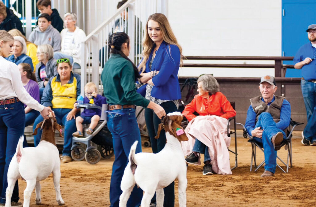 Mattie Haynes is the head livestock 
judging coach at Northeast Oklahoma A&M. Contributed Photo. 