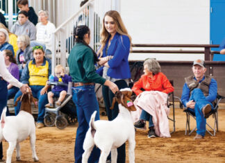 Milking Since 1949 - Ozarks Farm & Neighbor Newspaper - written for, by &  about farmers