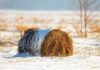 Reducing Hay Waste