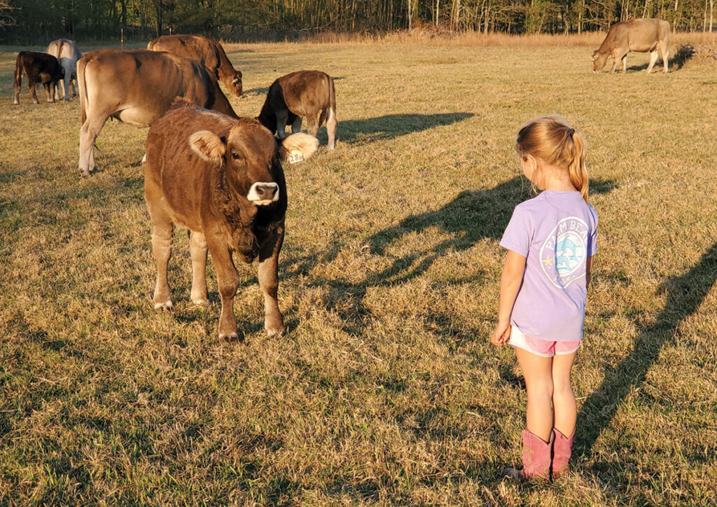 Since 4Kings Ranch can move cattle according to the feed sources, their cattle remain 80 percent grass-fed throughout the year. Contributed Photo. 