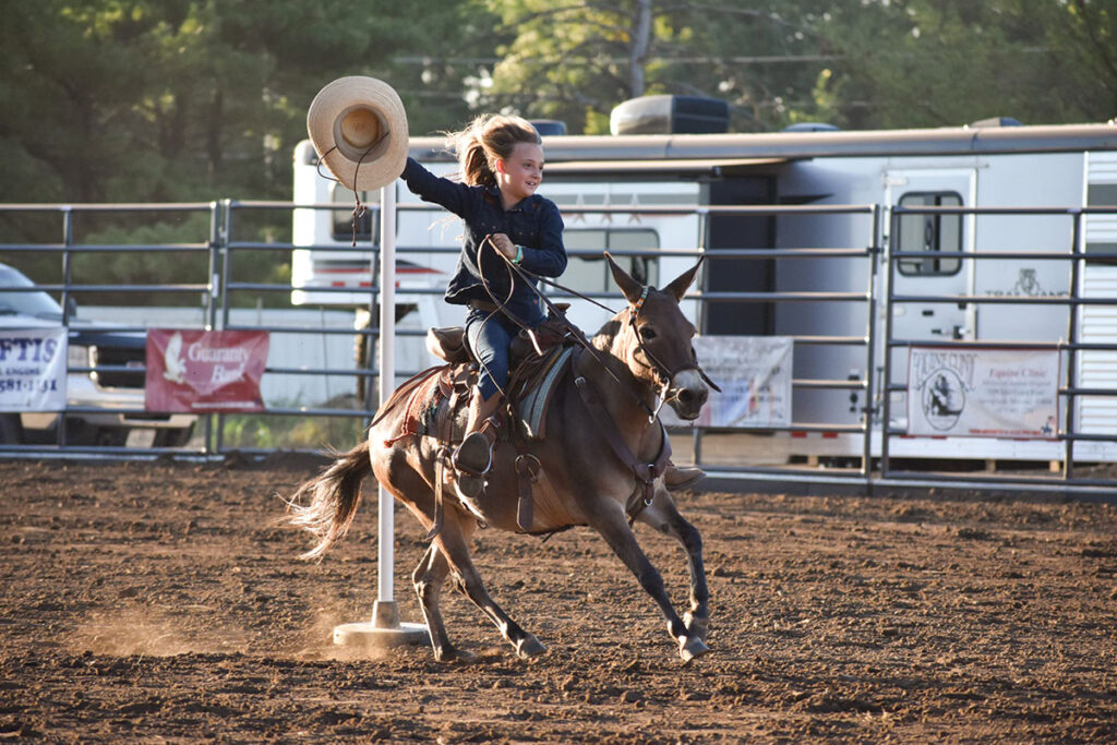 Participants have 150 days to train their mule and prepare it for the competition. Contributed Photo. 