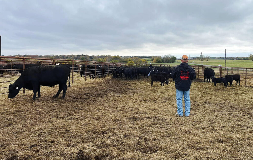 Since making the move to Angus, the Castera Farm has seen its sales grow each year. Contributed Photo. 