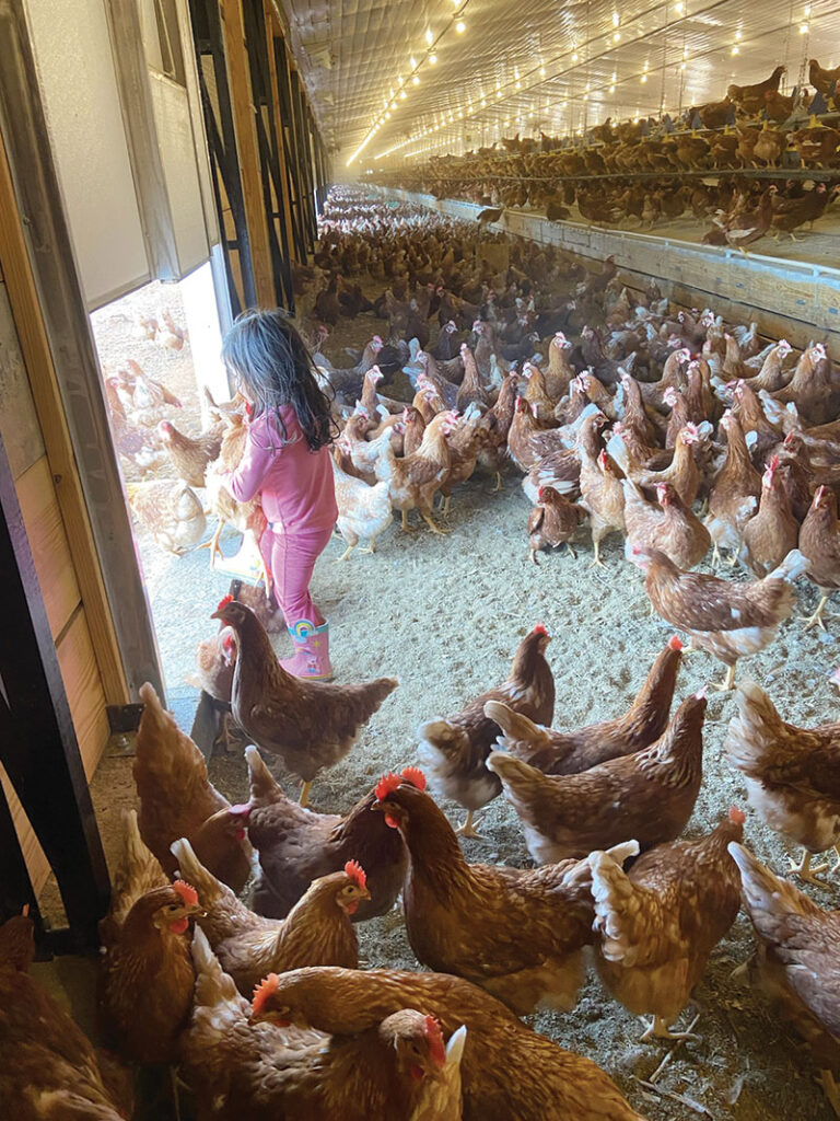 George White and his sons focus on natural ways of managing their land to get the best out of their 40-head herd of Angus cattle and, now, their estimated 40,000 chickens that they recently added to the farm. Contributed Photo. 